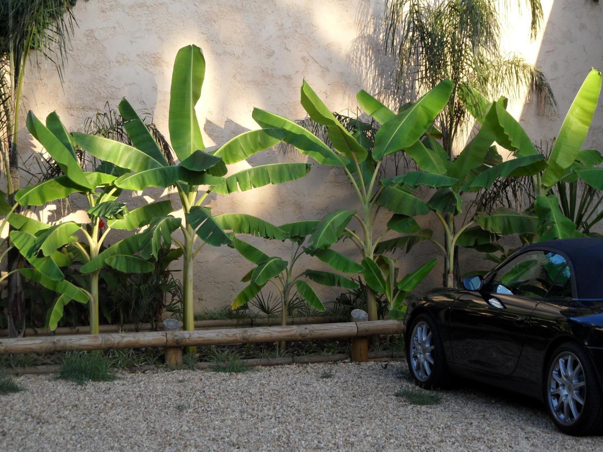Residence Veles Plage Cannes Eksteriør bilde